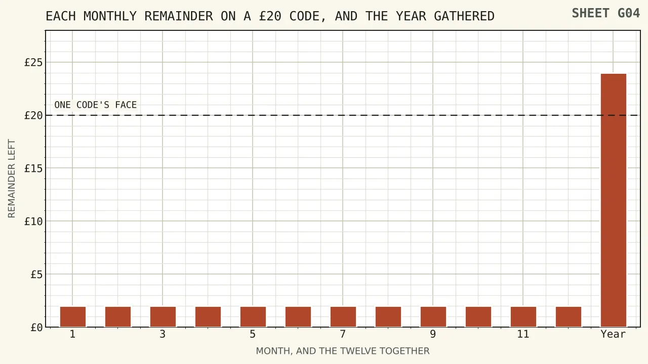 Twelve codes drawn in a row, each shaded for the eighteen pounds spent and left white for the two pounds remaining, with the twelve white slivers gathered at the right into a single twenty-four pound block.